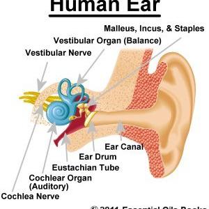 Tinnitus Ear Pain - Tinnitus Cure Sound